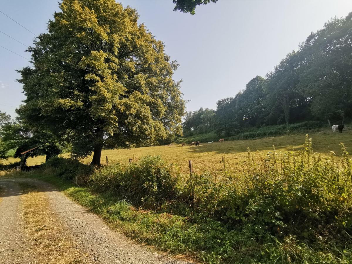 Domaine Lvd Avec Spa, Bois Et Riviere Privee La Bloutiere Exteriör bild