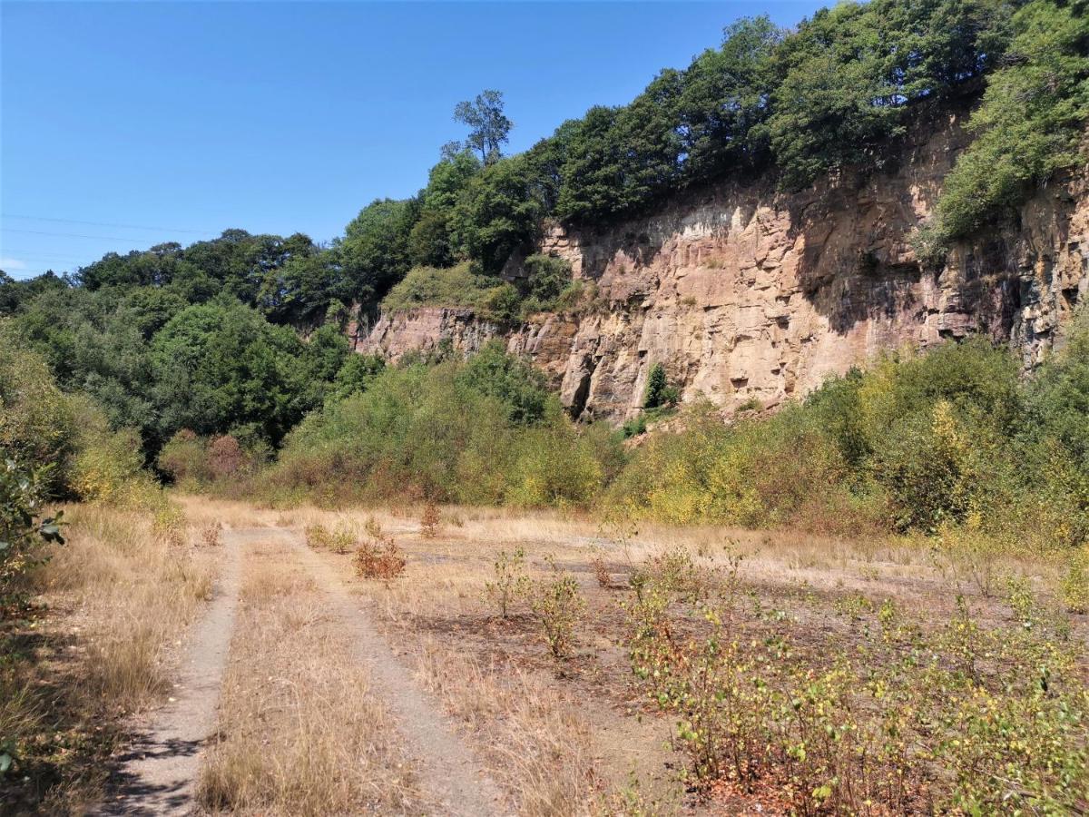 Domaine Lvd Avec Spa, Bois Et Riviere Privee La Bloutiere Exteriör bild