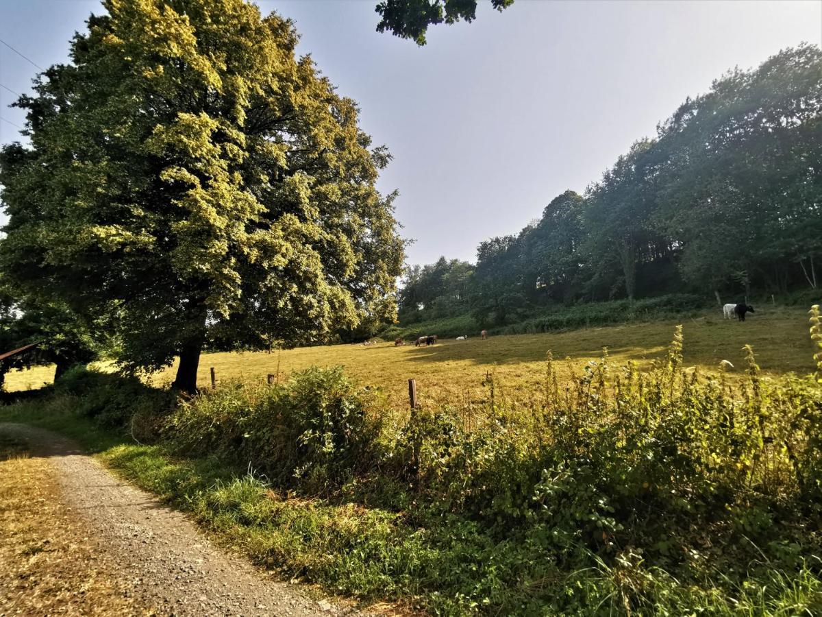 Domaine Lvd Avec Spa, Bois Et Riviere Privee La Bloutiere Exteriör bild