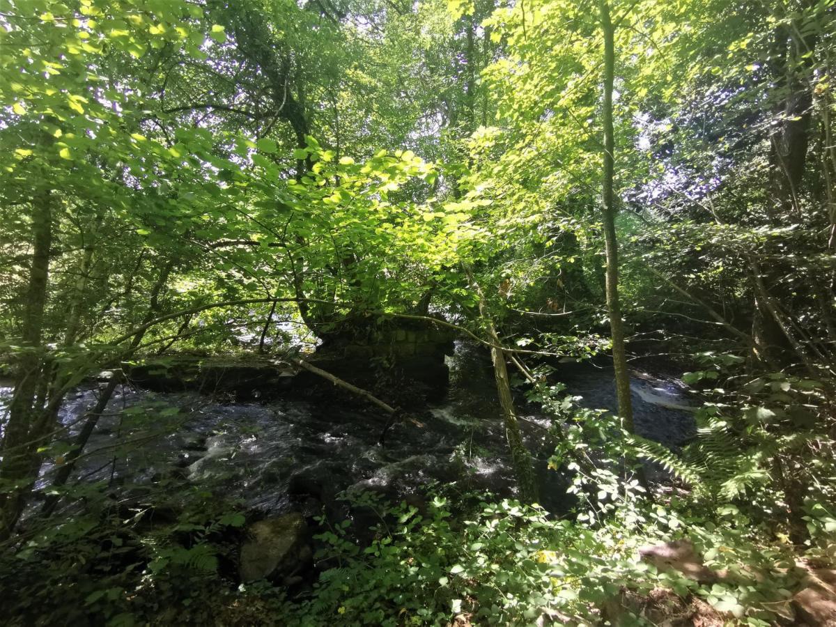 Domaine Lvd Avec Spa, Bois Et Riviere Privee La Bloutiere Exteriör bild
